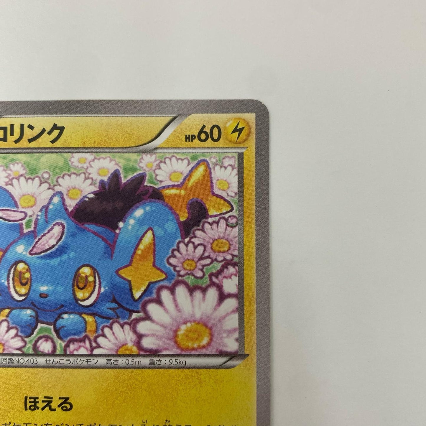 コリンク - 178/XY-P