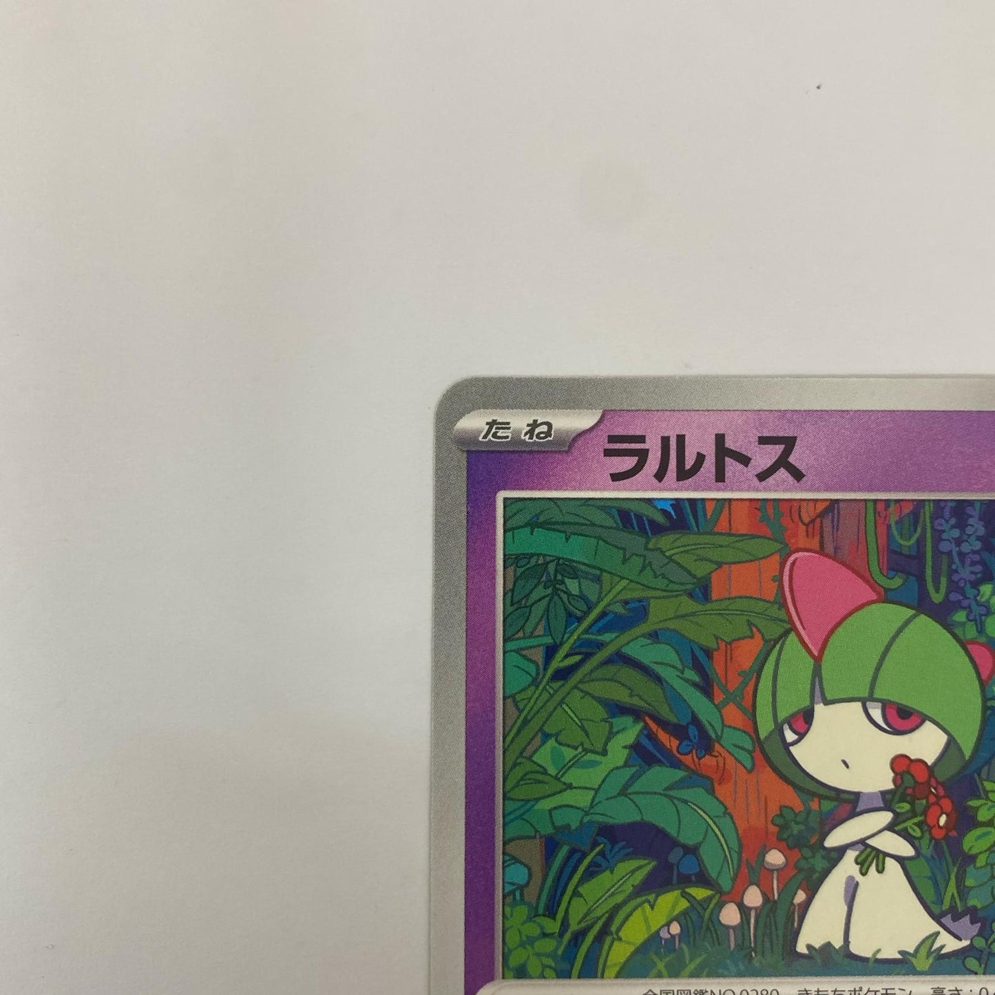 ラルトス - 021/M-P