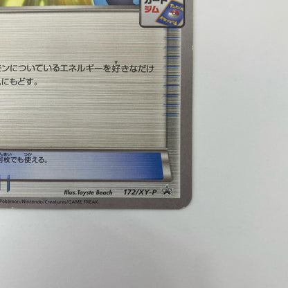 エネルギーリセット - 172/XY-P
