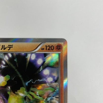 ジガルデ - 251/XY-P