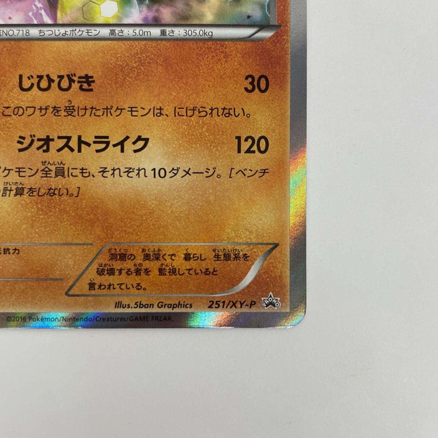 ジガルデ - 251/XY-P