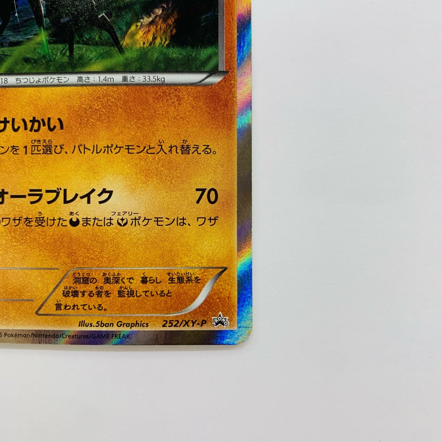 ジガルデ - 252/XY-P
