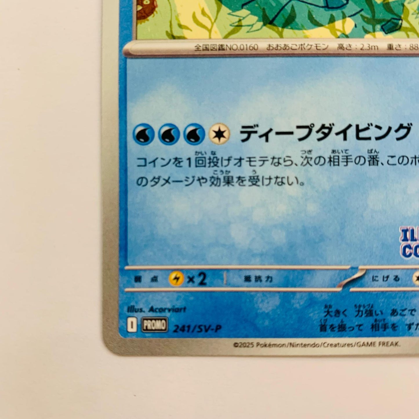 オーダイル - 241/SV-P