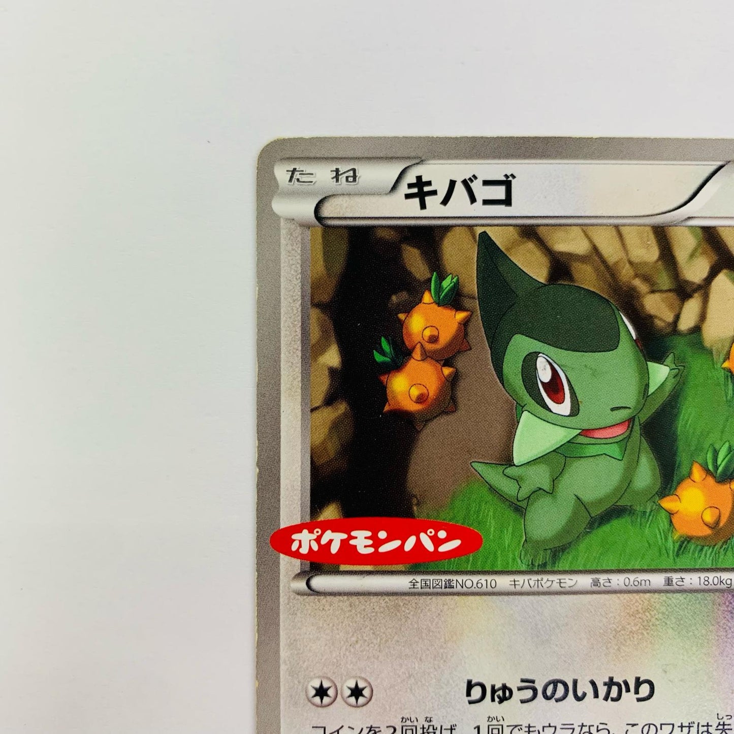 キバゴ