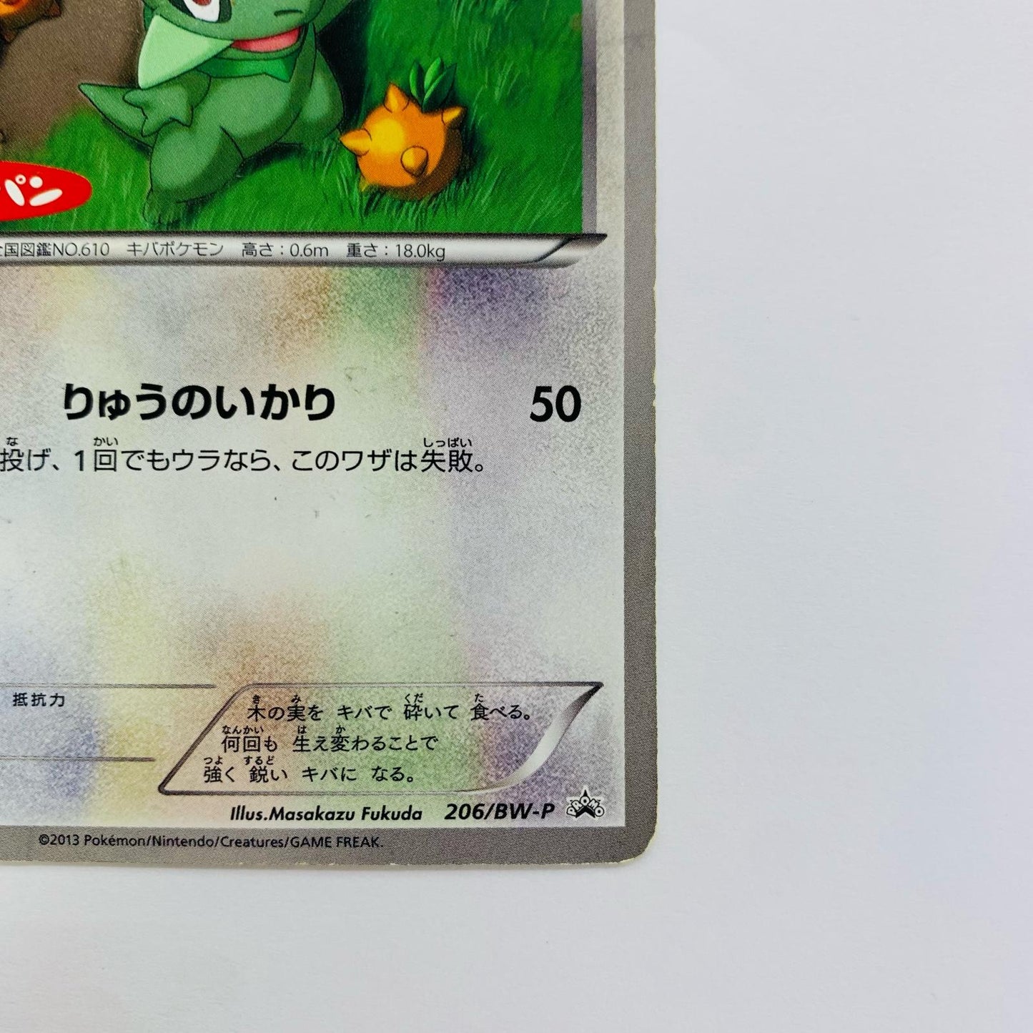 キバゴ