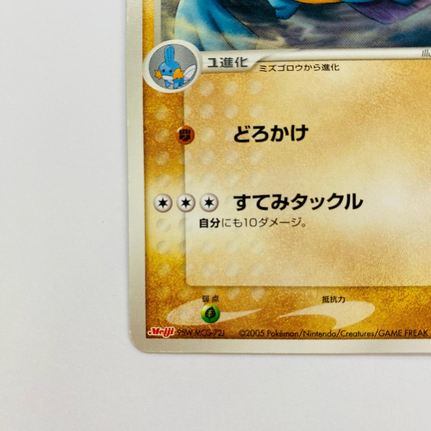 ヌマクロー