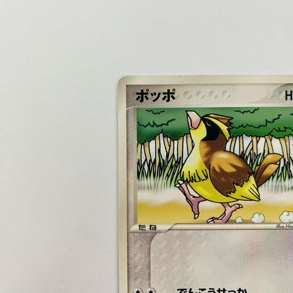 ポッポ