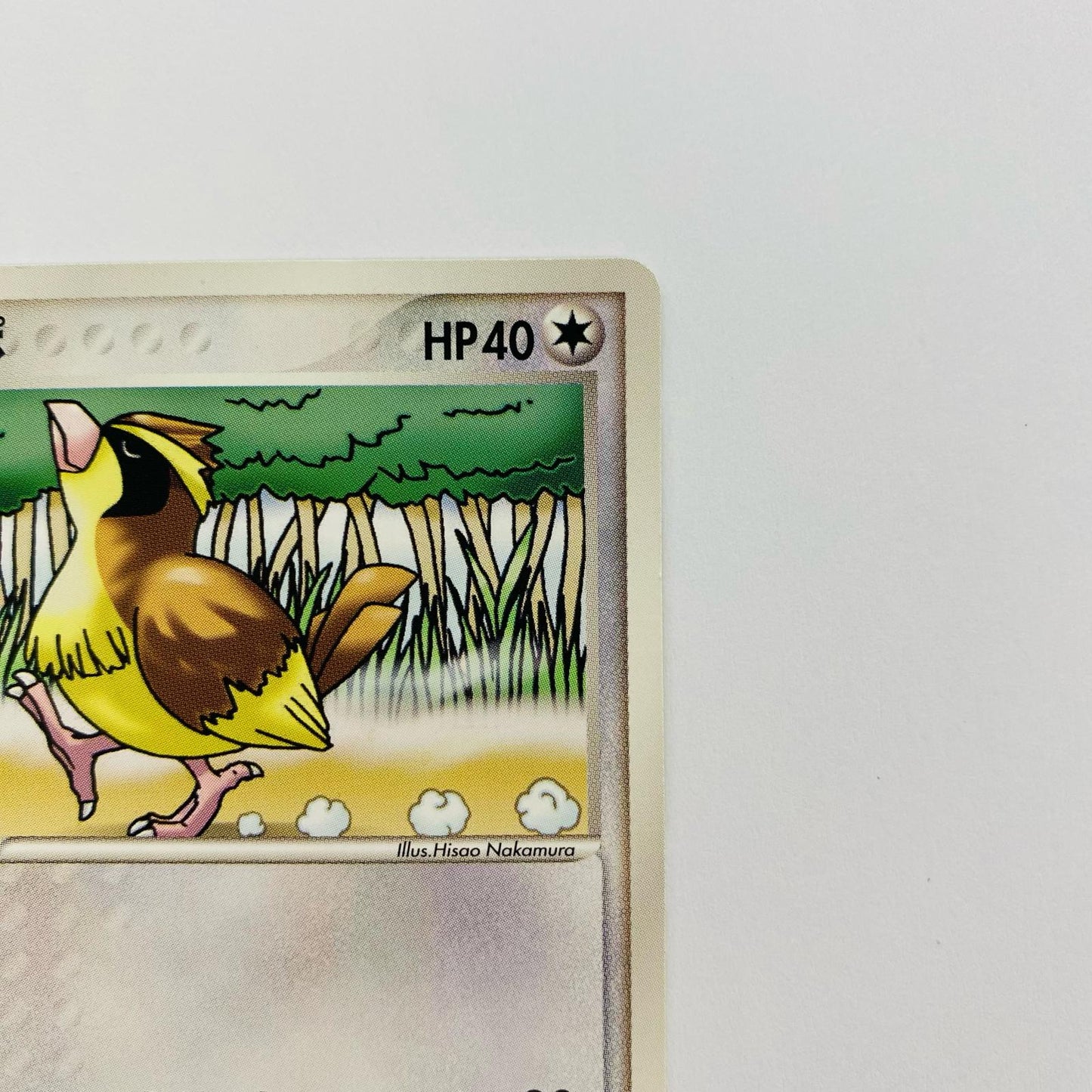 ポッポ