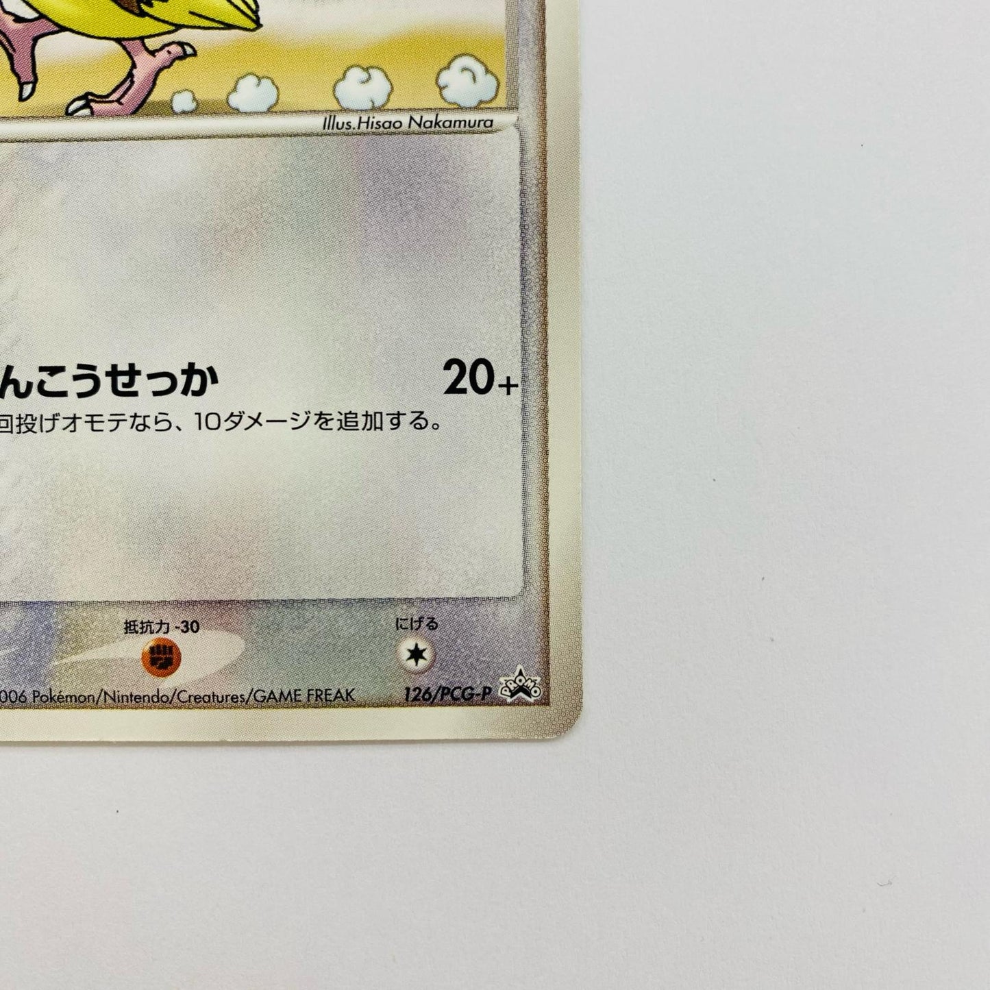 ポッポ