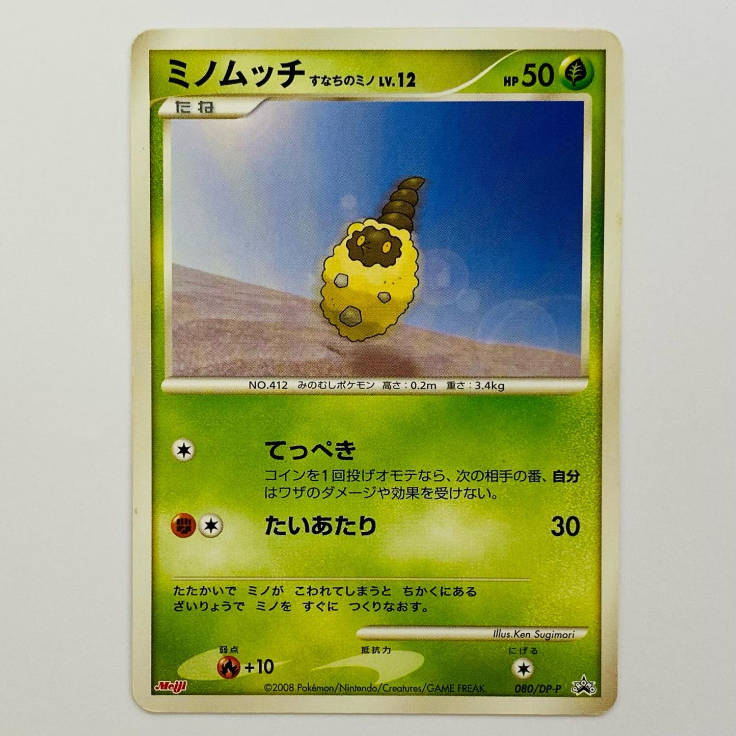 ミノムッチすなちのミノLV.12