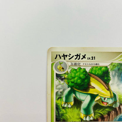 ハヤシガメLV.21
