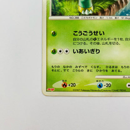ハヤシガメLV.21