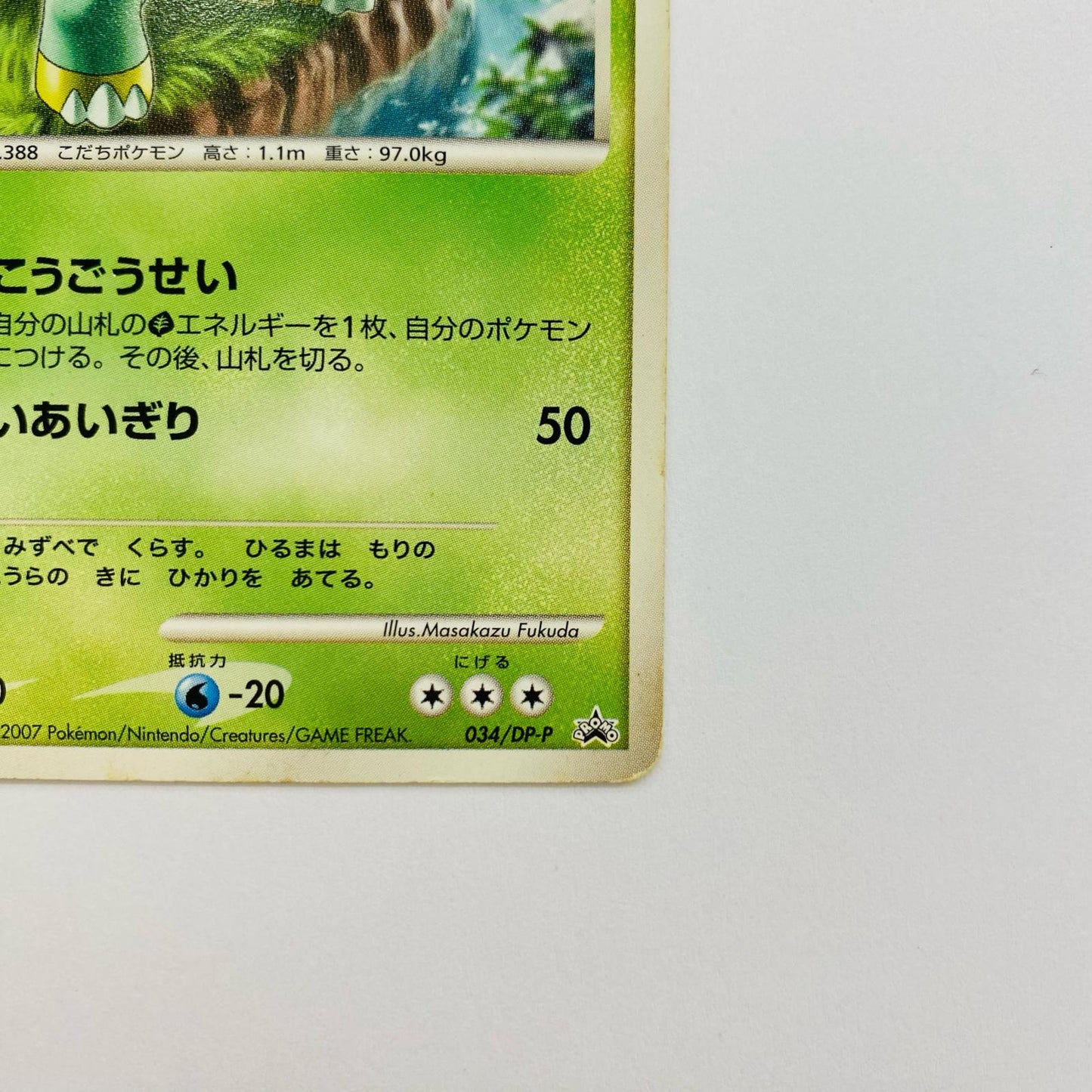 ハヤシガメLV.21