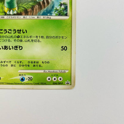 ハヤシガメLV.21