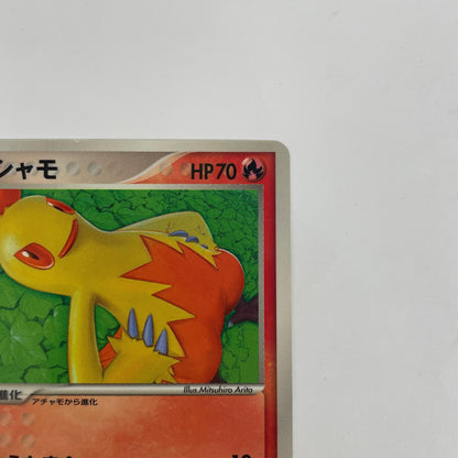 ワカシャモ