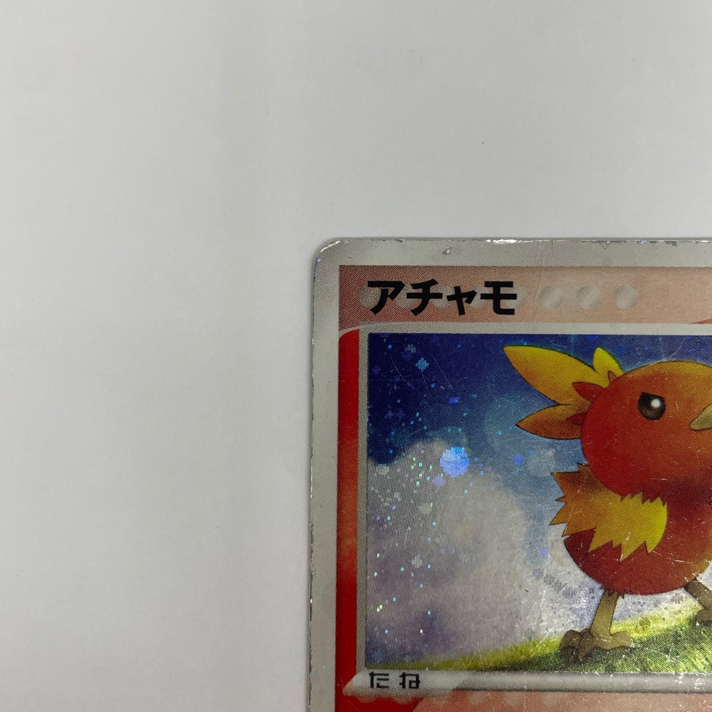 アチャモ