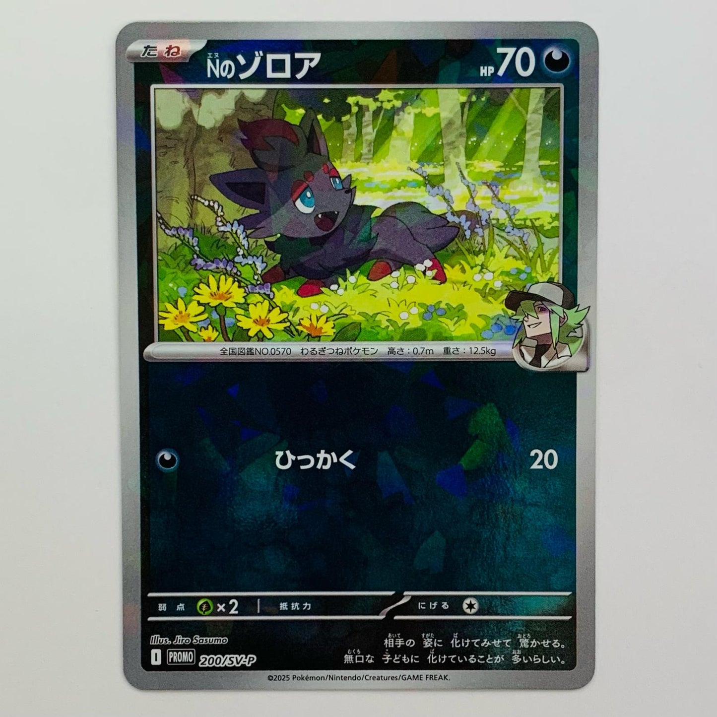 Nのゾロア - 200/SV-P
