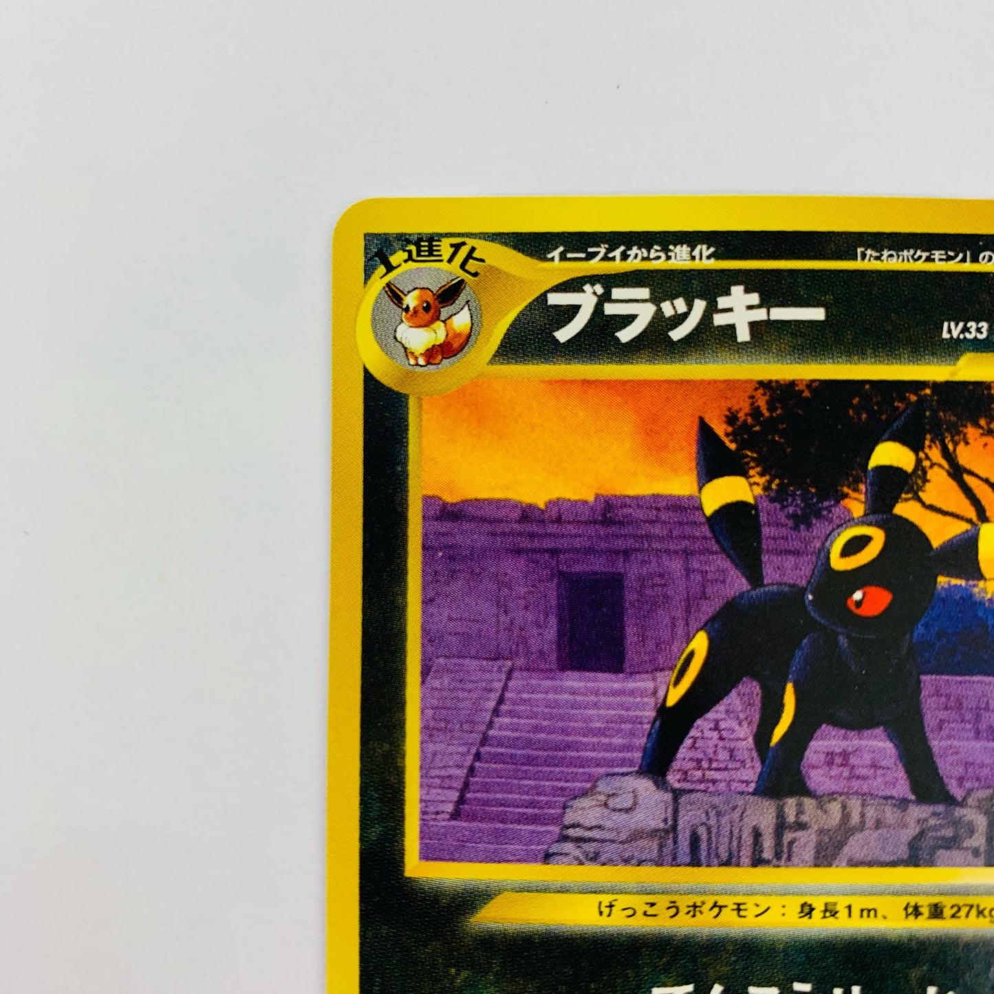 ブラッキー 旧裏