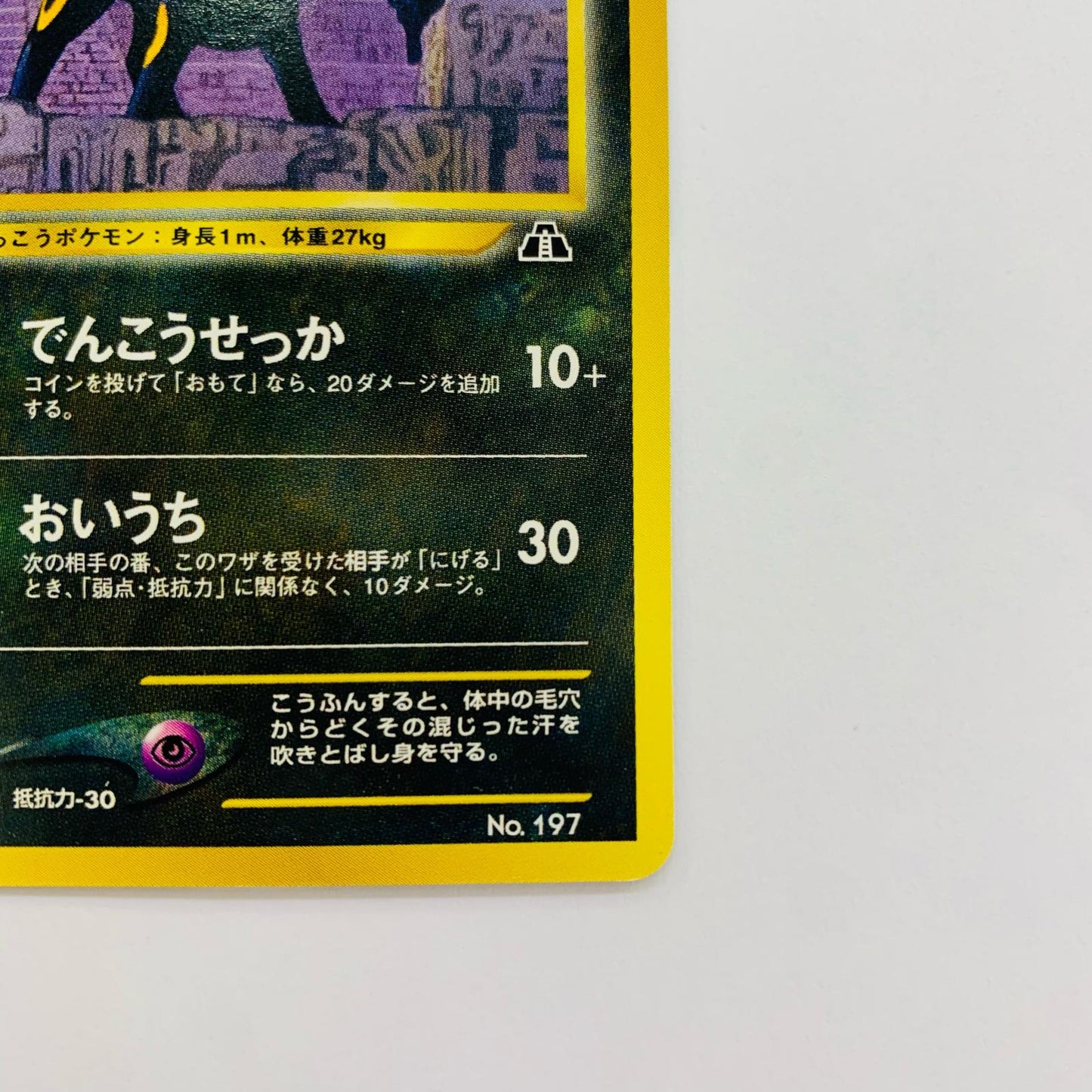 ブラッキー 旧裏