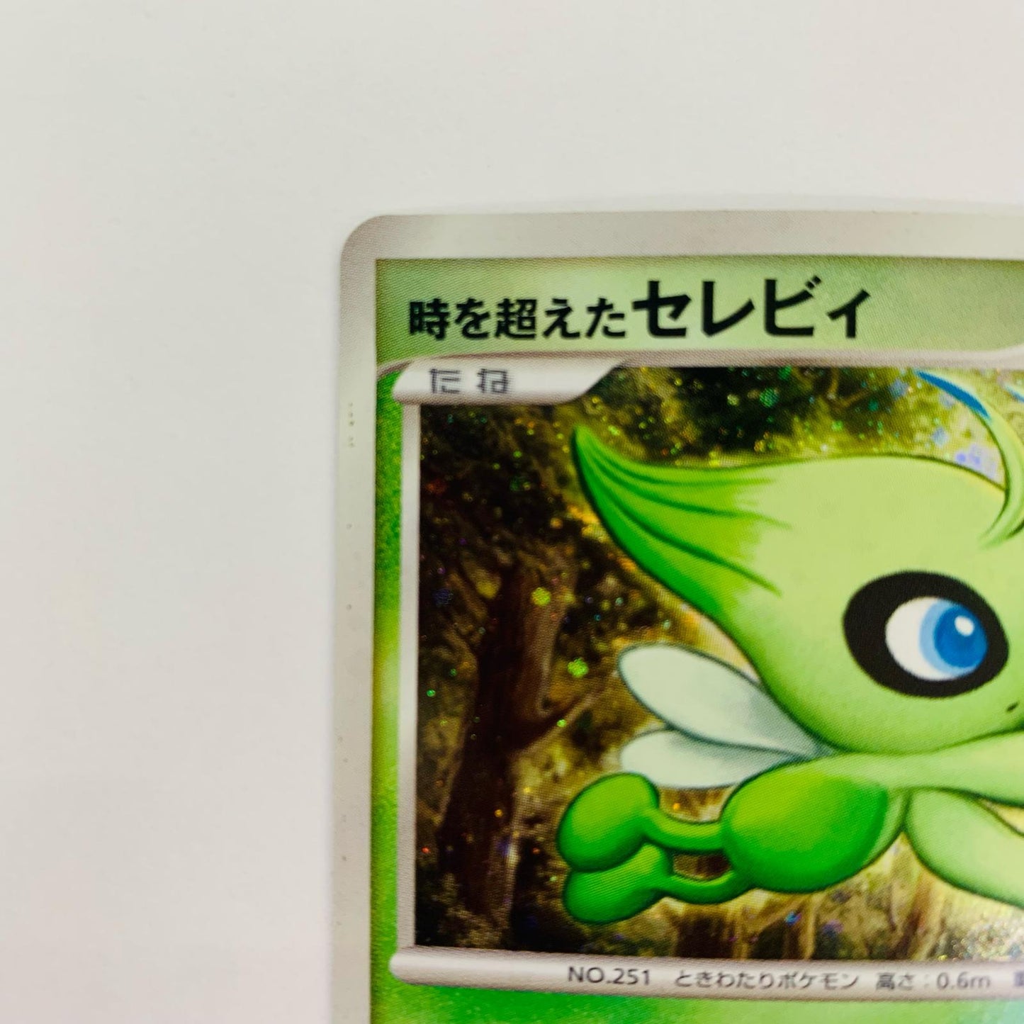 時を超えたセレビィ
