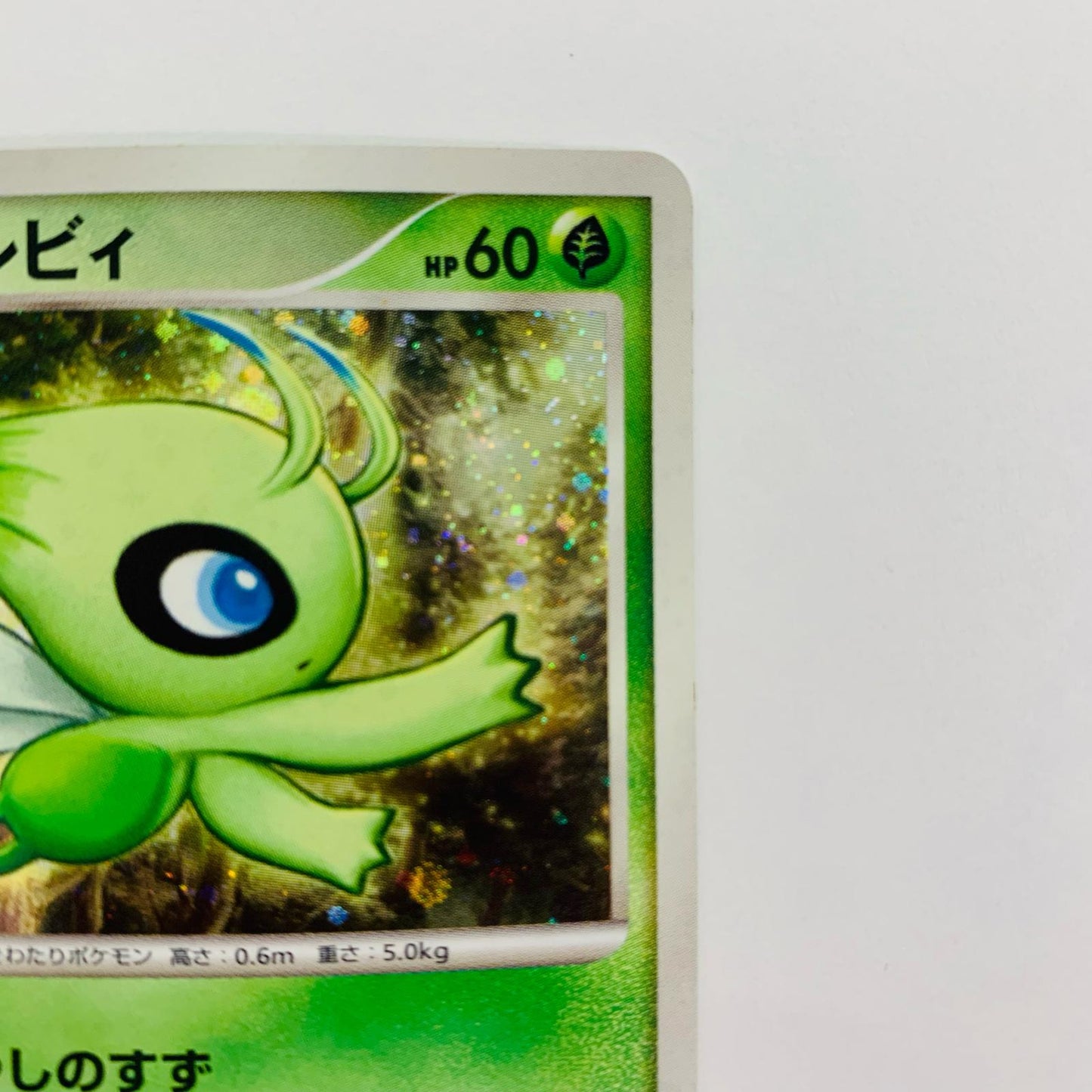 時を超えたセレビィ