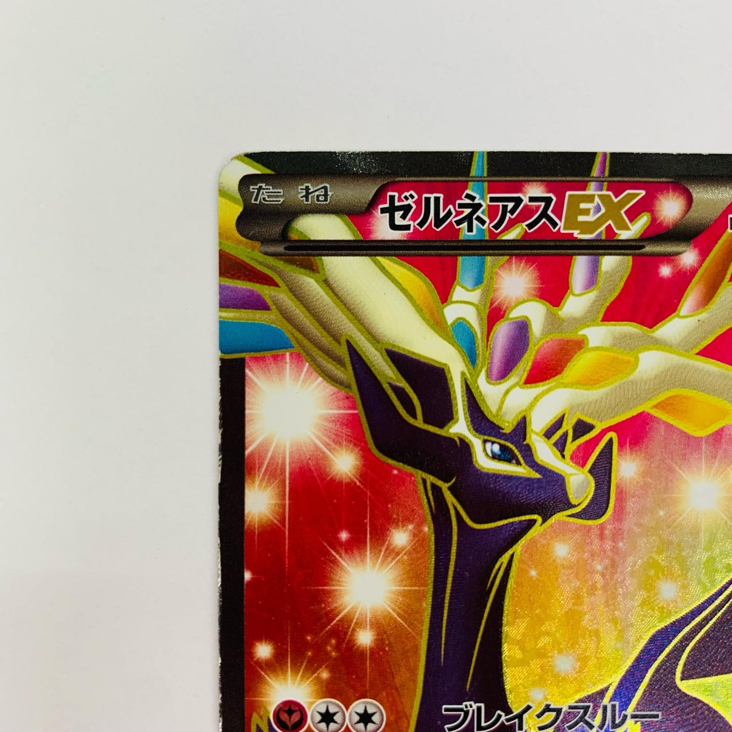 ゼルネアスEX - XYC-012