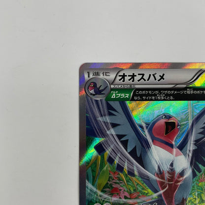 オオスバメ R XY6-058