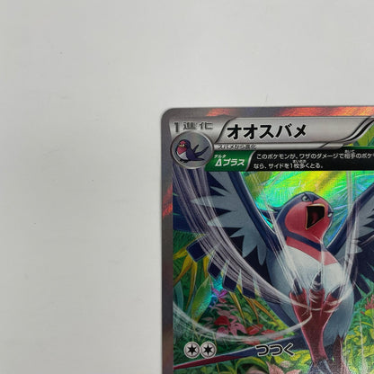オオスバメ R XY6-058
