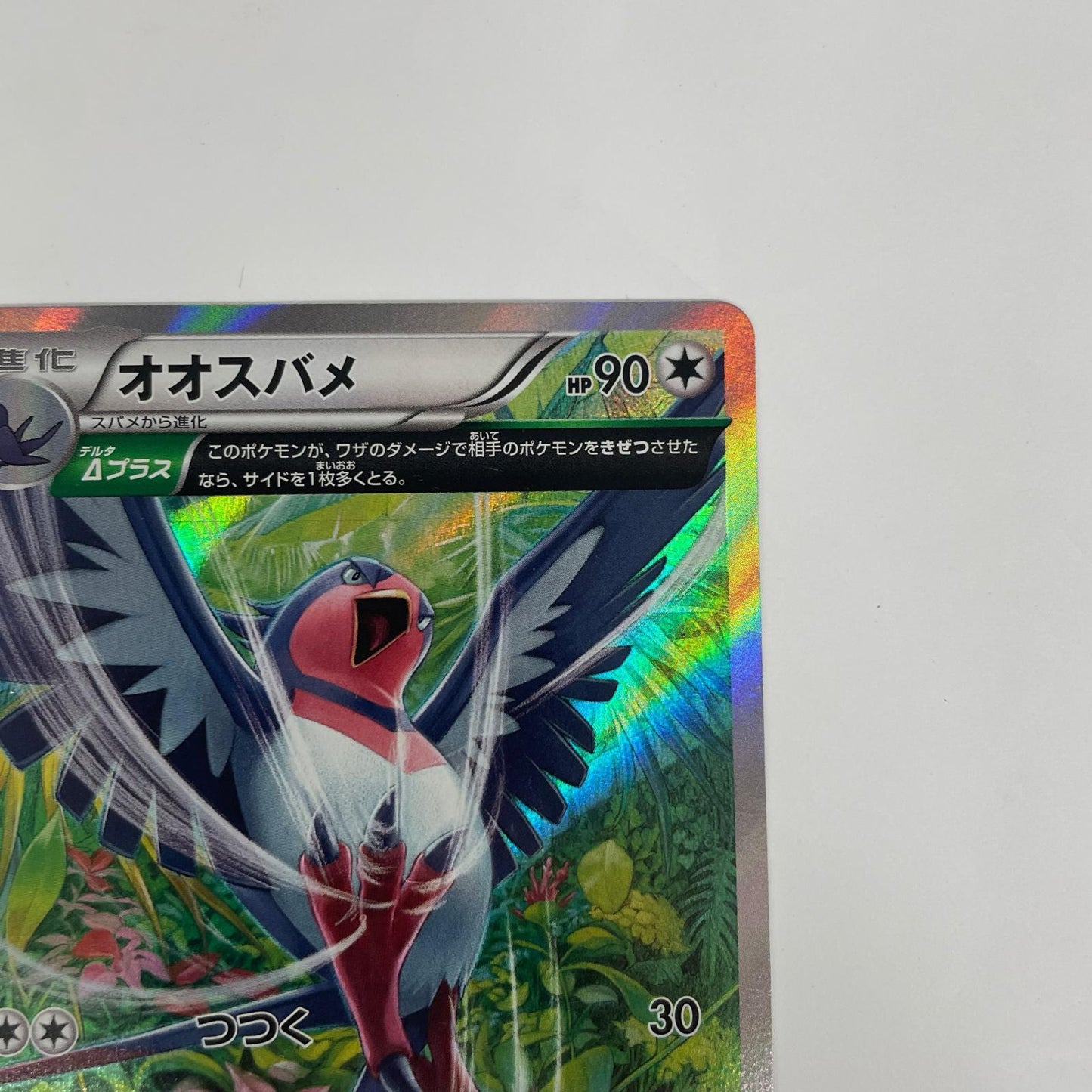 オオスバメ R XY6-058