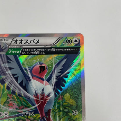 オオスバメ R XY6-058