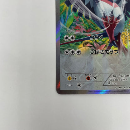 オオスバメ R XY6-058