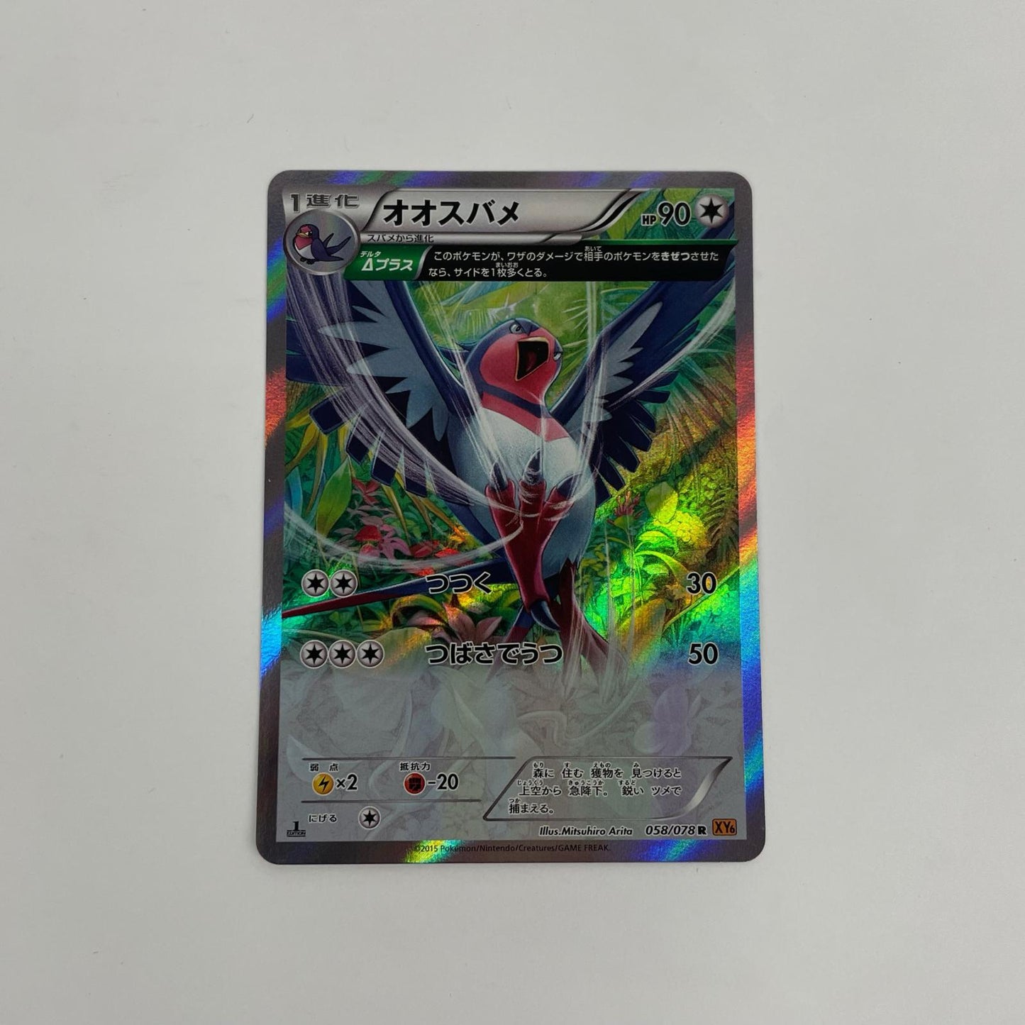 オオスバメ R XY6-058