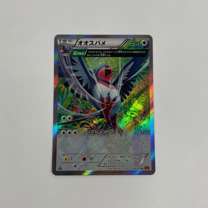 オオスバメ R XY6-058