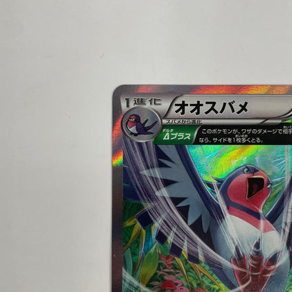 オオスバメ R XY6-058