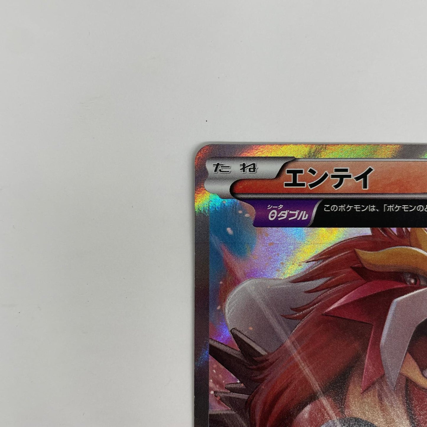 エンテイ R XY7-015