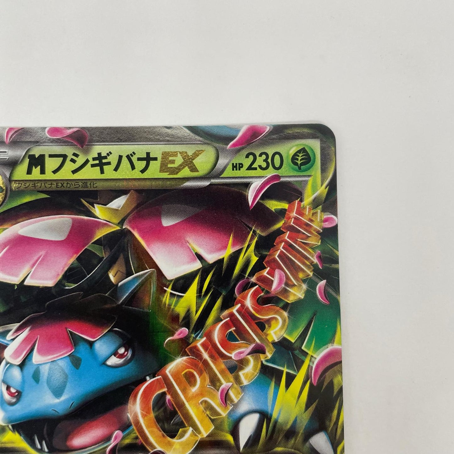 MフシギバナEX RR XY1-002