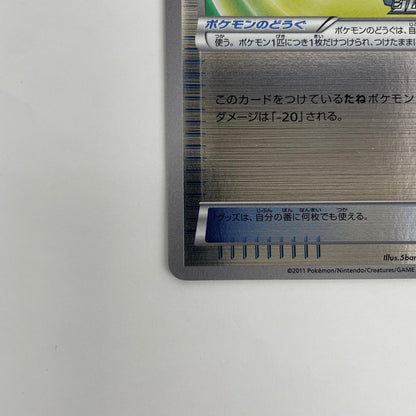 しんかのきせき