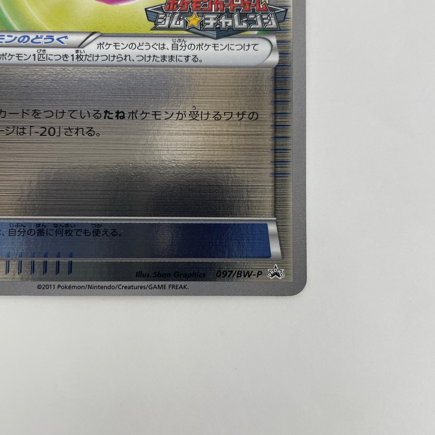 しんかのきせき