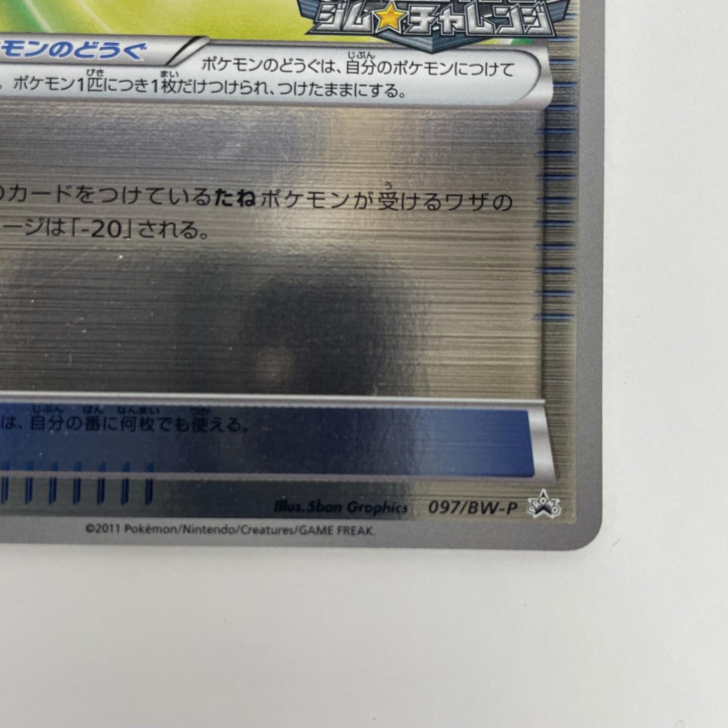 しんかのきせき