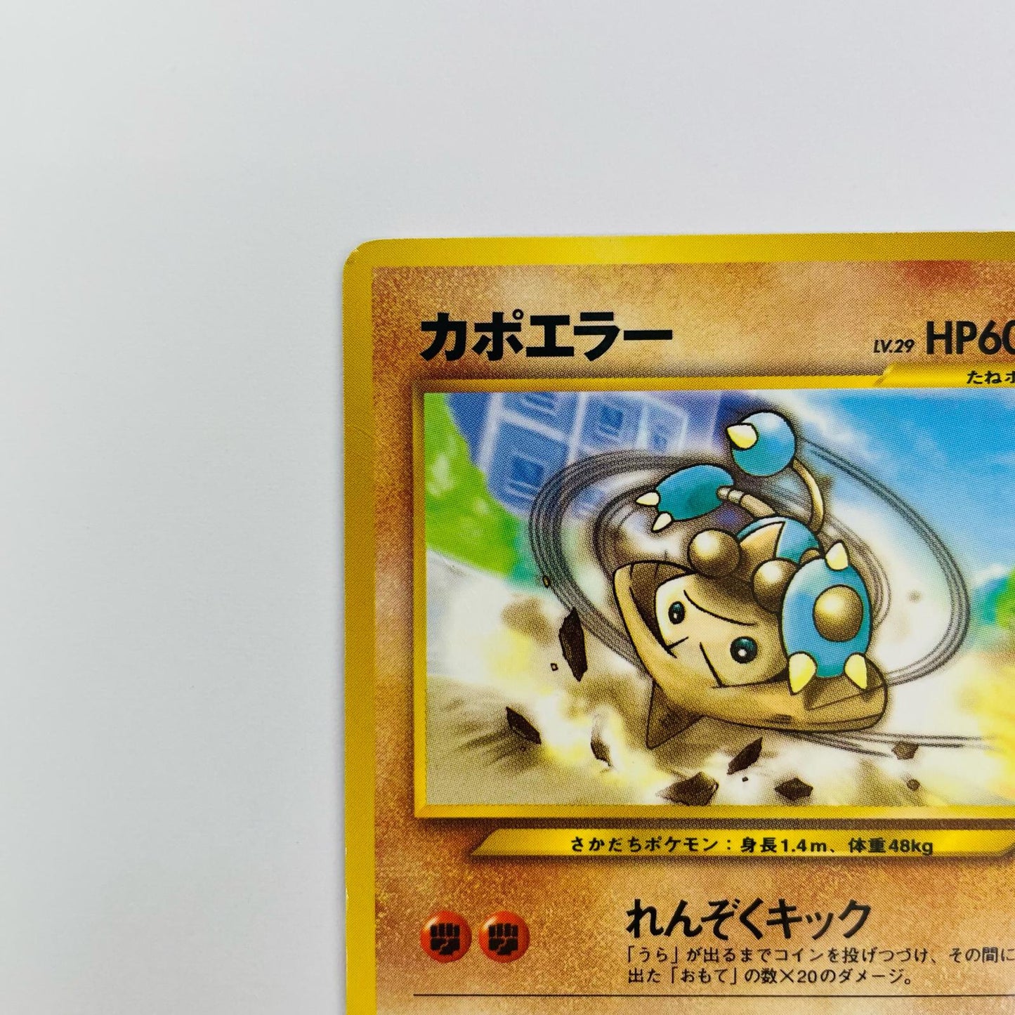 カポエラーLV.29 旧裏