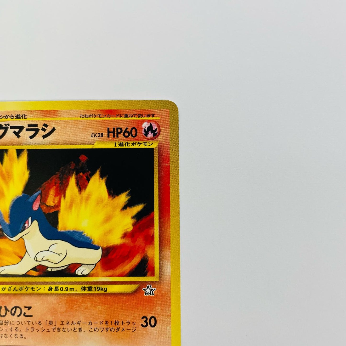マグマラシLV.28 旧裏