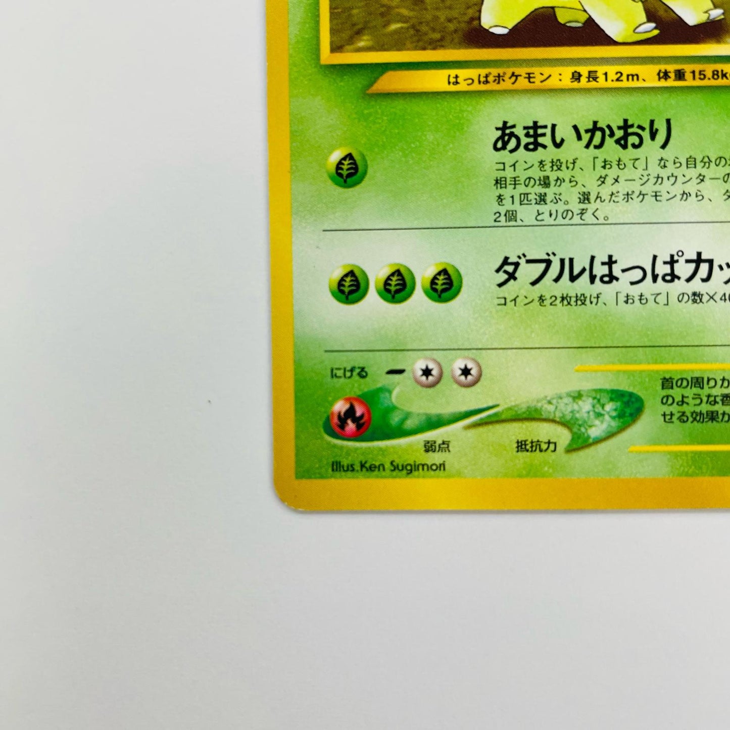 ベイリーフLV.39 旧裏