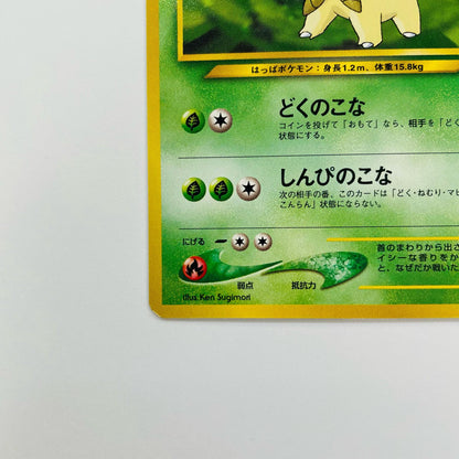 ベイリーフLV.33 旧裏