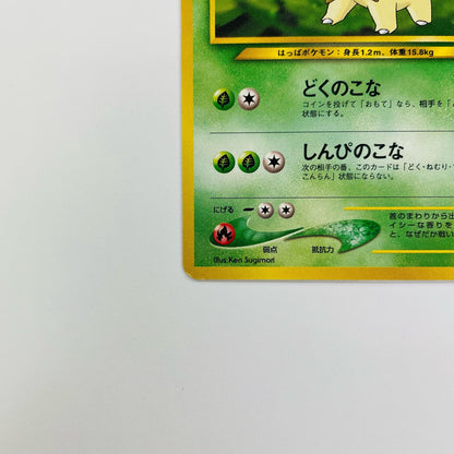 ベイリーフLV.33 旧裏