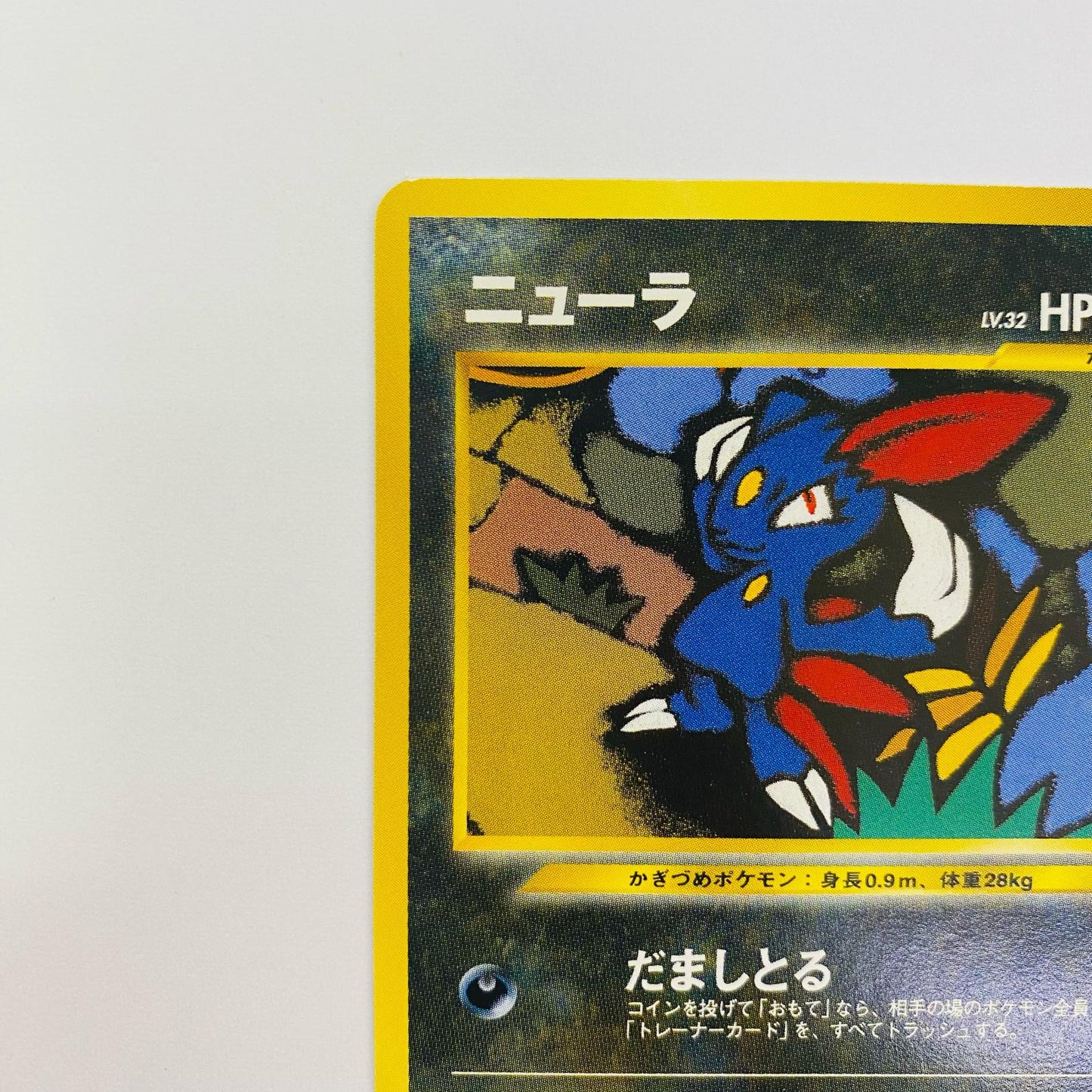 ニューラLV.32 旧裏