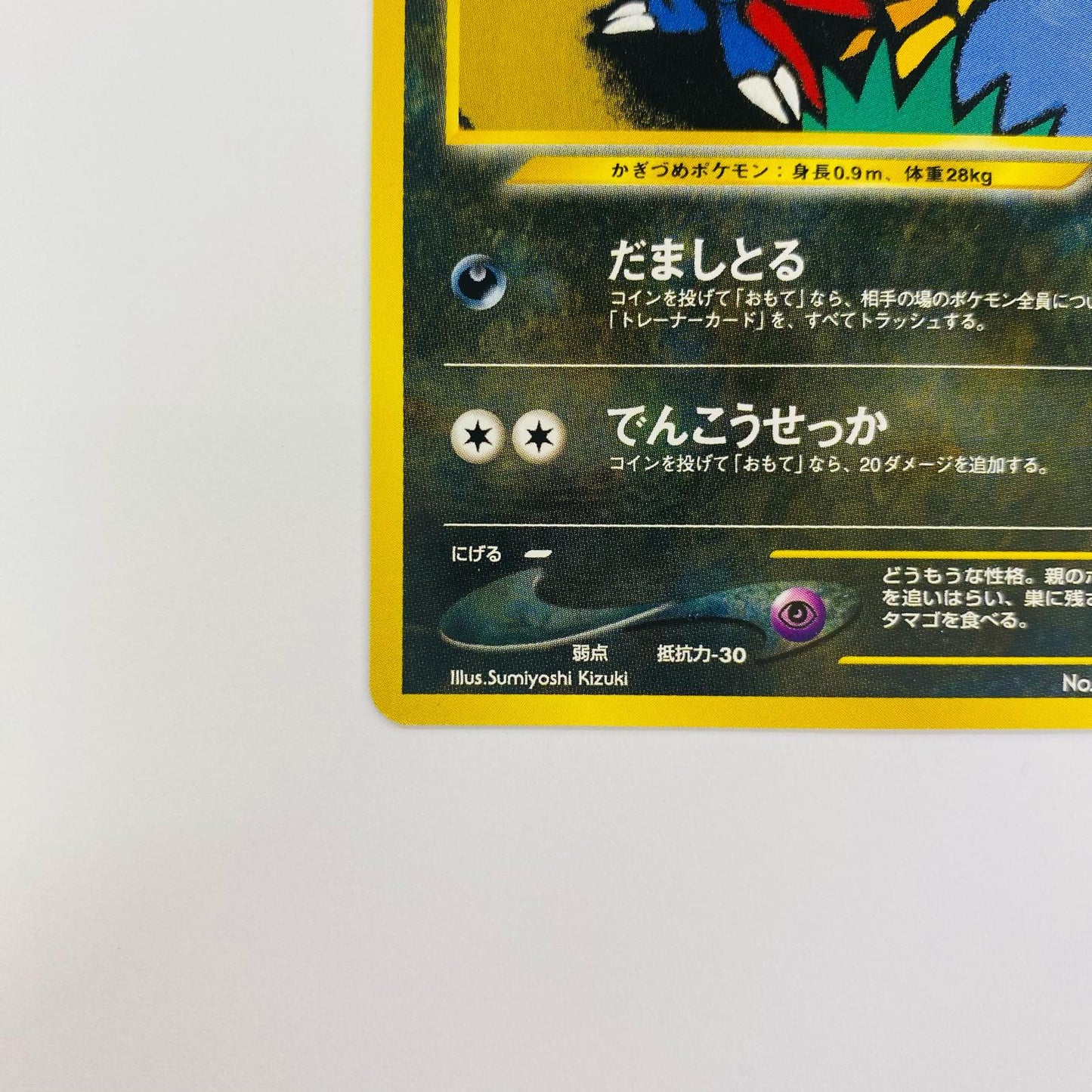 ニューラLV.32 旧裏