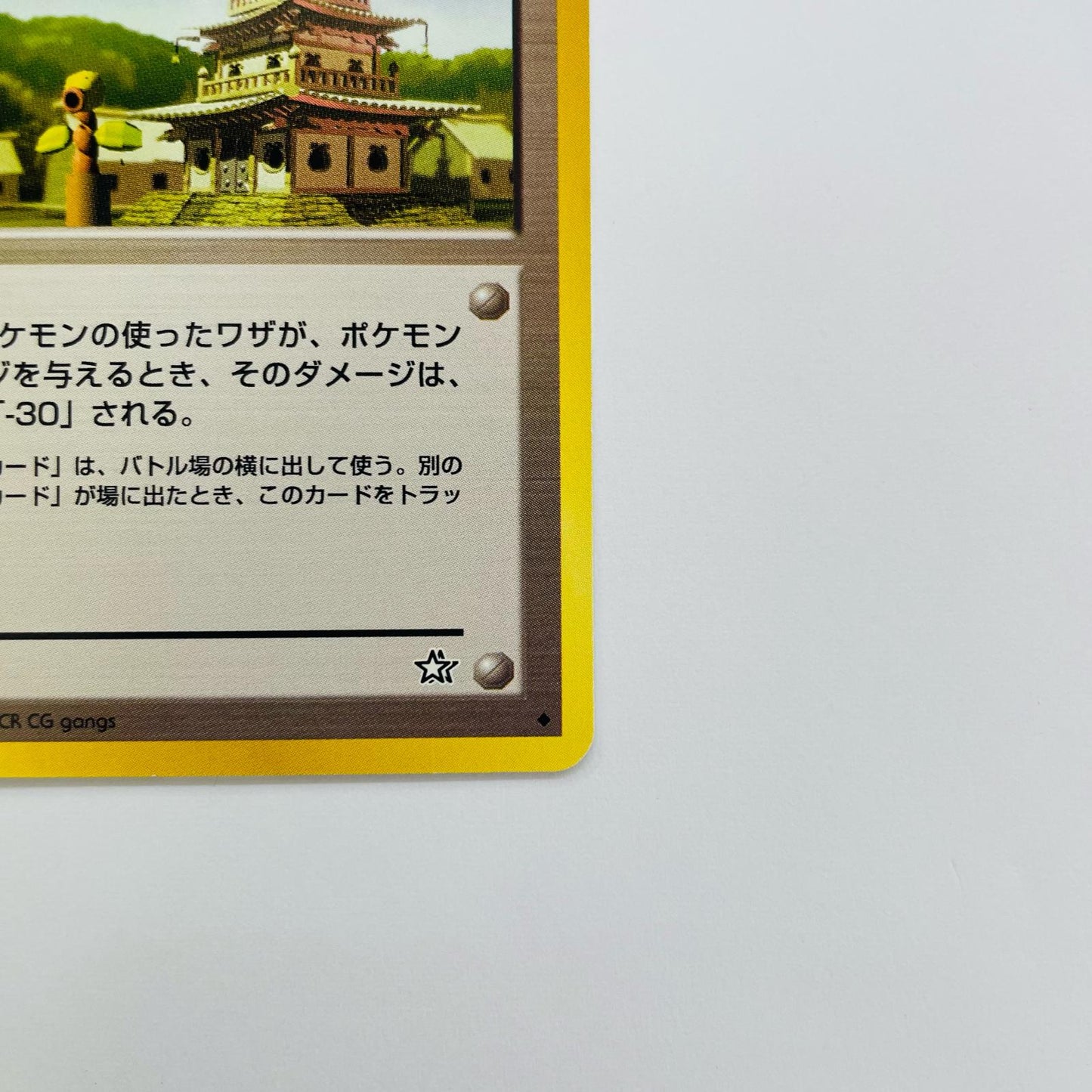 マダツボミのとう 旧裏