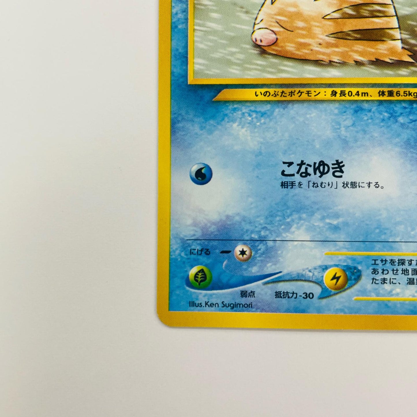 ウリムーLV.8 旧裏