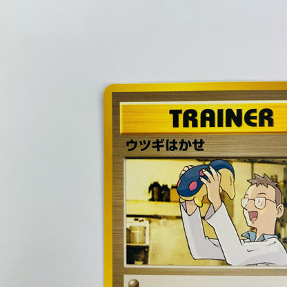 ウツギはかせ 旧裏