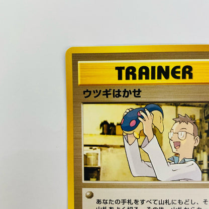 ウツギはかせ 旧裏